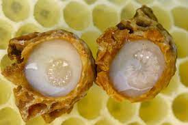 Royal Jelly proven in the fight against Diabetes