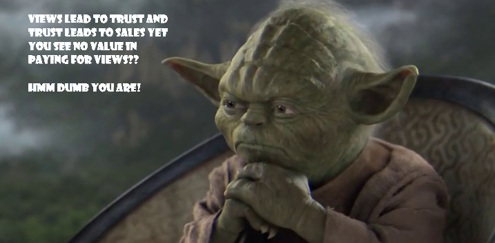 Yoda and leads4biz page views