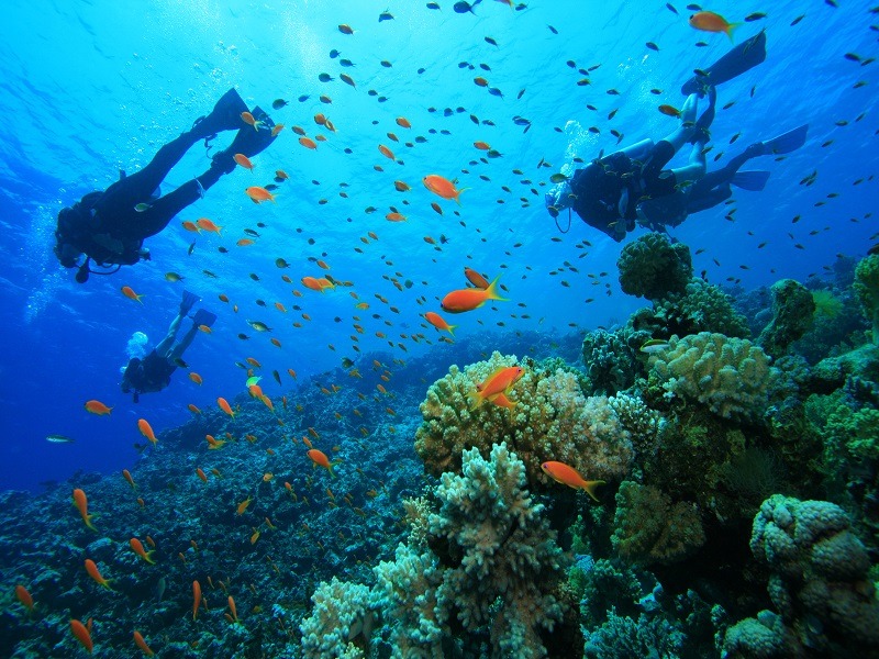 SCUBA Diving